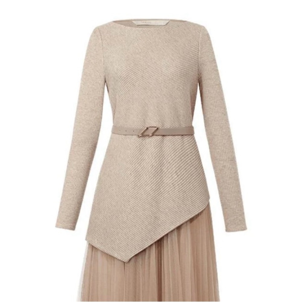 Goelia asymmetrical top
